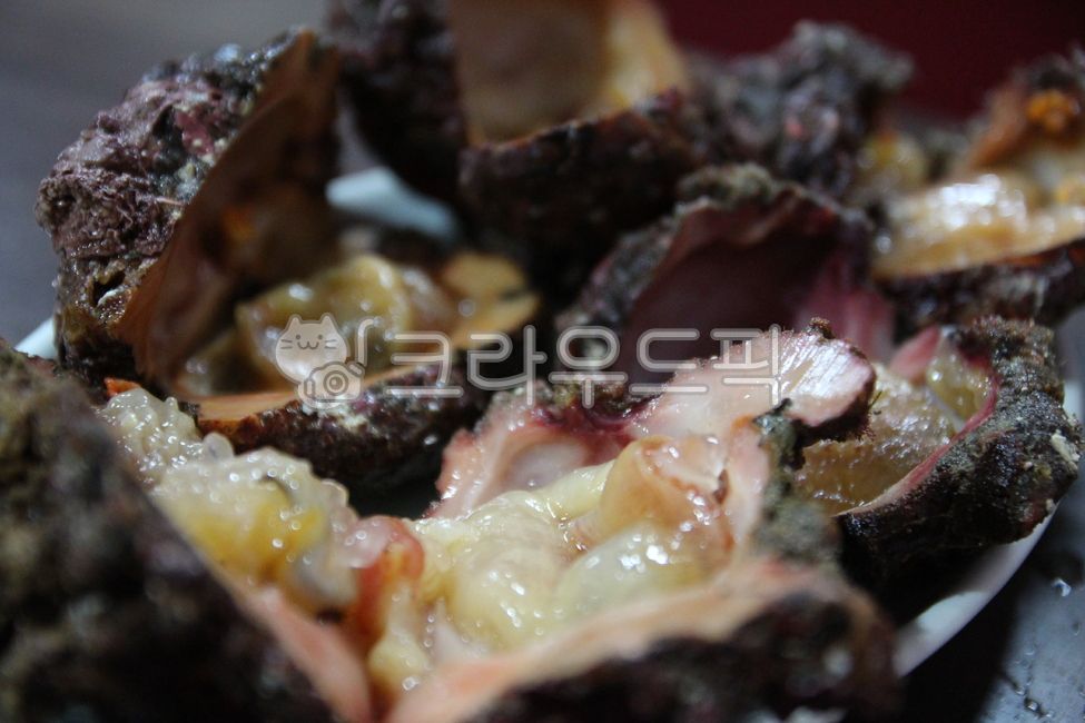 음식,돌멍게,제주음식,멍게,food,바다요리,안주,일품요리,생물,혼술,혼술안주,seafood