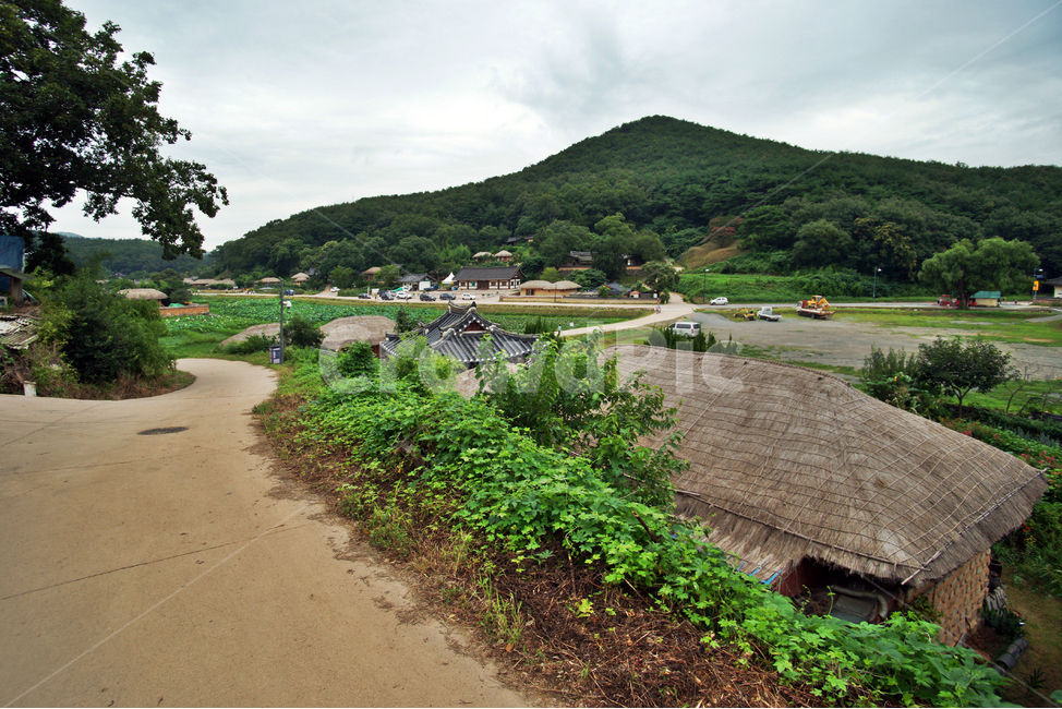 양동마을,경주,양반,집성촌,민속마을,조선시대,한옥,기와집,초가,문화재,유네스코세계유산,전통문화,월성손씨,여강이씨,자연,전통가옥,시골,마을,풍경,landscape,country,rural,town,한국전통,한국문화,korean traditional,korean culture