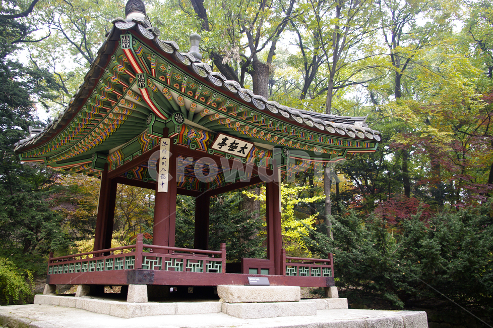 태극정,창덕궁후원,고궁,건축,전통건축,traditional,전통,단청,가을,fall,나무,식물,plant,단풍,한국전통,한국문화,korean traditional,korean culture,건축물,건물외관,exterior,building,structure,architecture,construction