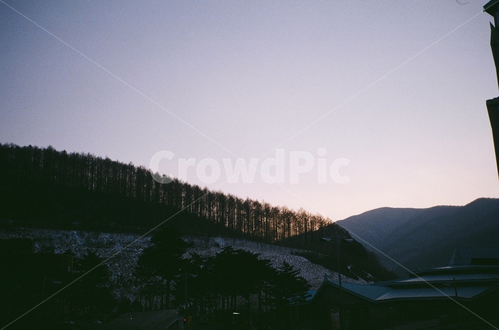 하늘,나무,자연,산,mountain