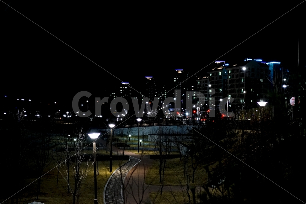 야경,가로등,산책,걷기,밤,아름다움,평온,가로수,풍경,빛,느낌,산보,일상,도시,풍경,city,landscape,야경,밤,nightscape,night