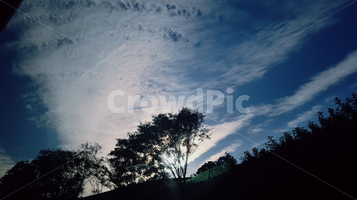 나무,하늘,구름,햇빛,산,tree,sky,cloud,sunshine,mountain,자연,풍경,nature,landscape,silhouette,실루엣,outdoors,옥외