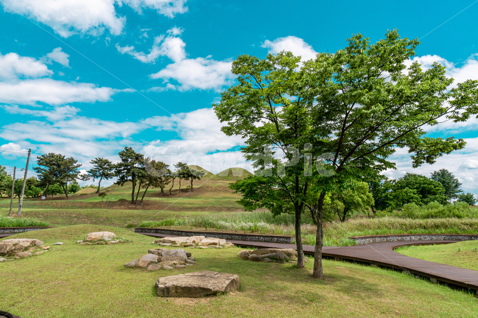 outdoors,옥외,field,들,nature,목초지,grassland,자연,불로동,고분군,대구,풍경,색감,자연,풍경,nature,landscape