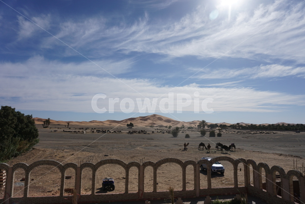 nature,자연,outdoors,옥외,landscape,경치,scenery,풍경,camel,낙타