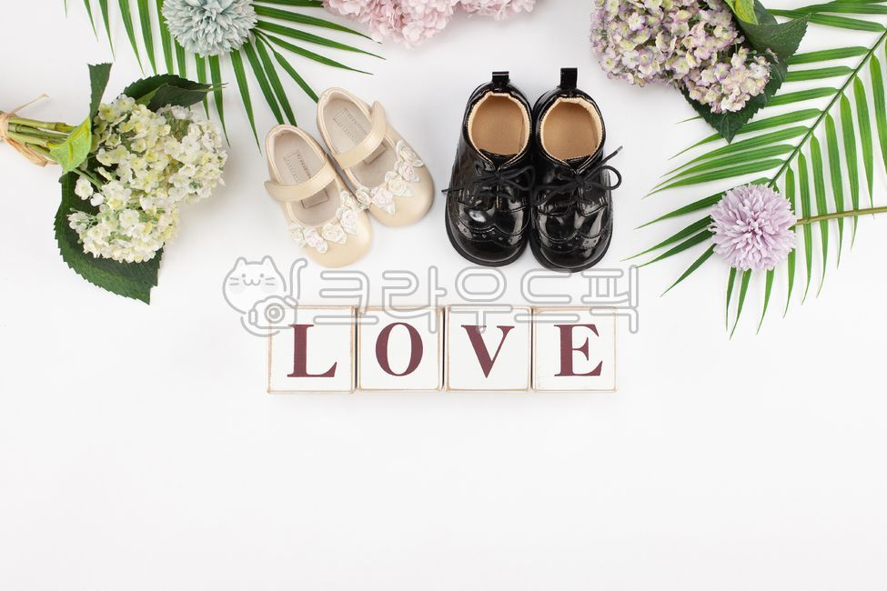 love,Art,wooden block,Detailed page,Emotional background,pattern,baby girl shoes,palm tree,letter block,baby boy shoes,design,block,wedding,art,floraldesign,invitation,copyspace,floral design,bouquet,banner,leaf,baby shoes,background,plant,letter,flower b
