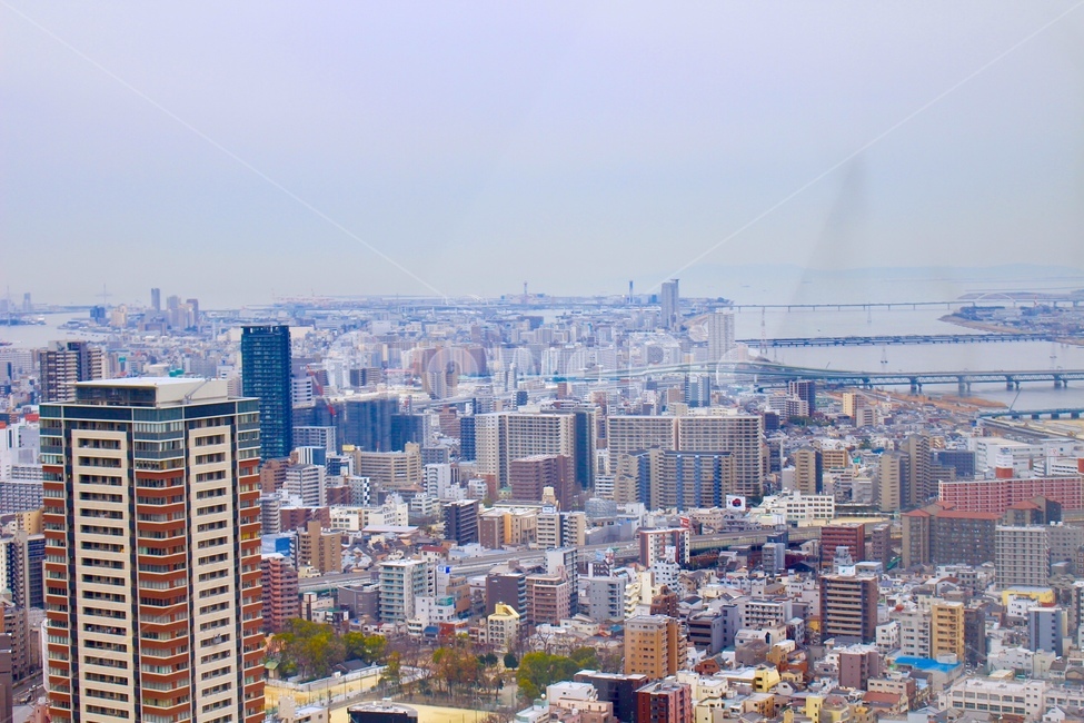 도시,건물,빌딩,하늘,도심,도시,풍경,city,landscape