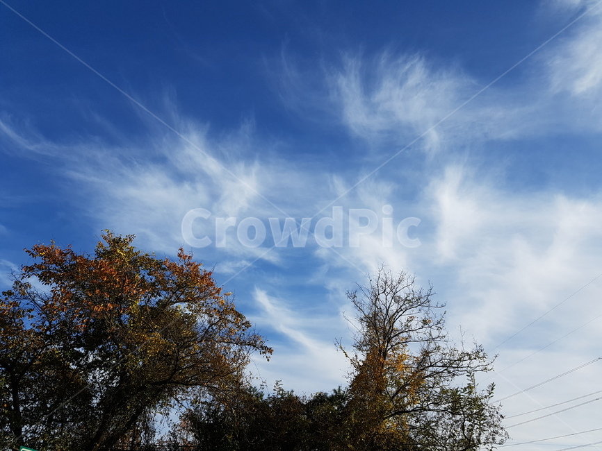 하늘,구름,맑은날,기분좋은날,자연,자연,풍경,nature,landscape,outdoors,옥외,sky