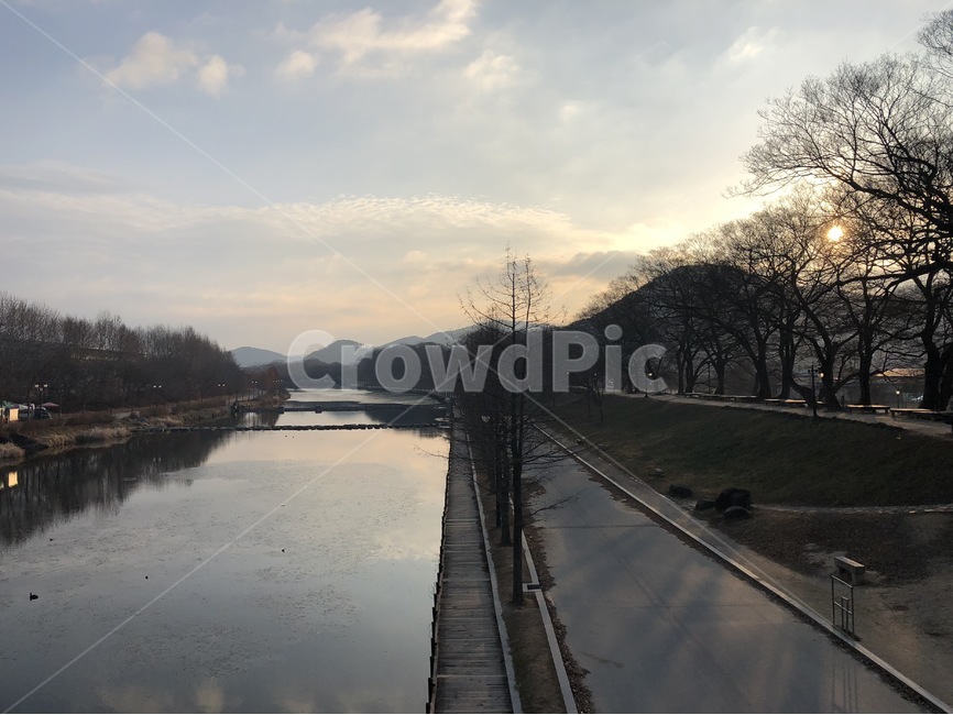 담양,아침,자연,배경,배경화면,힐링