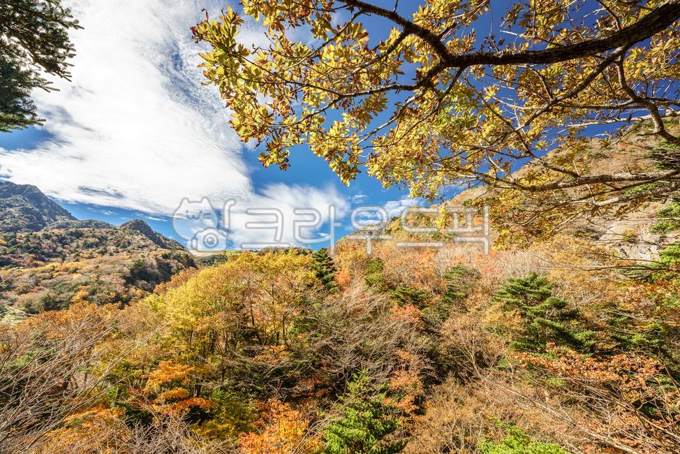 제주도, 풍경, 가을, 자연, 한라산, 사진,이미지,일러스트,캘리그라피 - Vaun작가