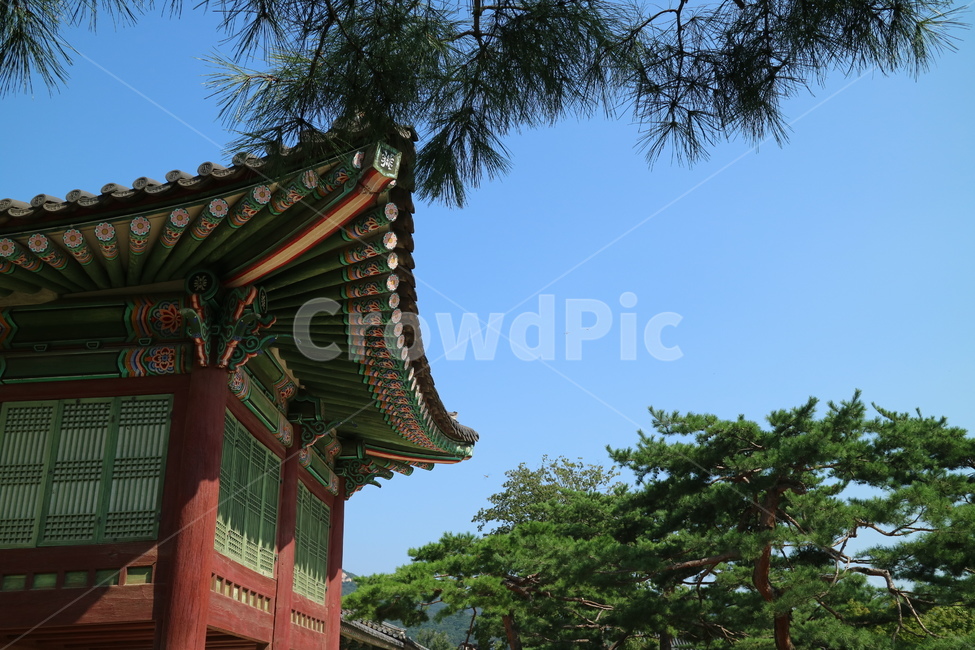고궁,궁전,한국전통,한국,건축,건물,동양건축,전통가옥,한옥,한국의고궁,문화재,대한민국,전통,민속,한국전통,한국문화,korean traditional,korean culture,랜드마크,landmark,tourist attraction,한국랜드마크,한국관광지,한국명소,korea landmark,korea tourist attraction,건축물,건물외관,exterior,building,structure,architecture,construction