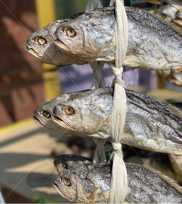 굴비,영광,건조,생선,gulbi,음식,식재료,요리,food,cook,meal,dishes,food reserves,수산물,해산물,fishery products,seafood