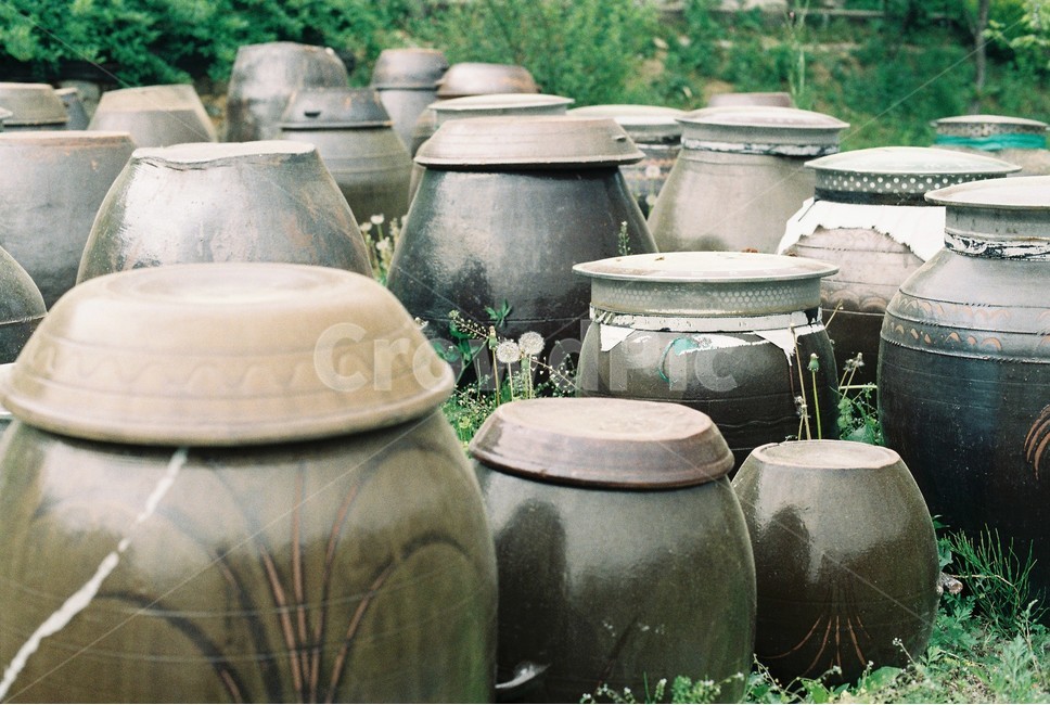 장독대,민들레,홀씨,전통,시골,김장,따뜻한,풍경,tradition,countryside,한국전통,한국문화,korean traditional,korean culture