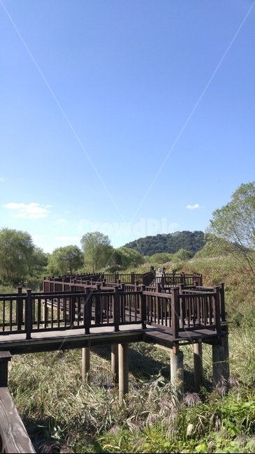 풍경,가을,다리,자연,산책,자연,풍경,nature,landscape,water,물,handrail,난간,banister,railing