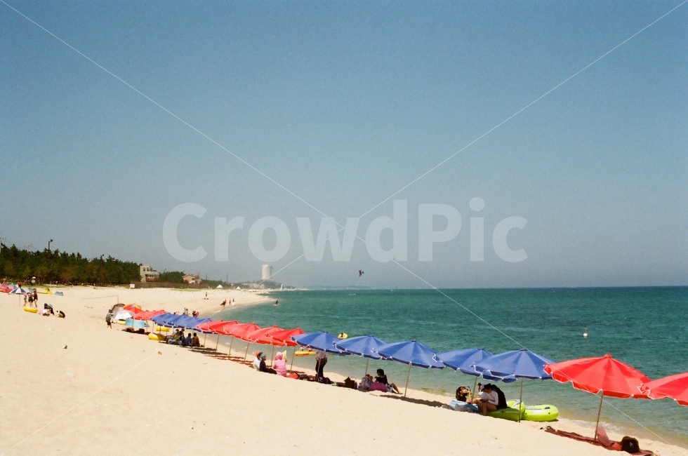 강릉,안목해변,여름,필름사진,필름카메라,여름,계절,summer,season,해변,바다,beach,sea,outdoors,옥외,nature,자연,ocean,대양,water,물,shoreline,해안선,바닷가,coast,연안