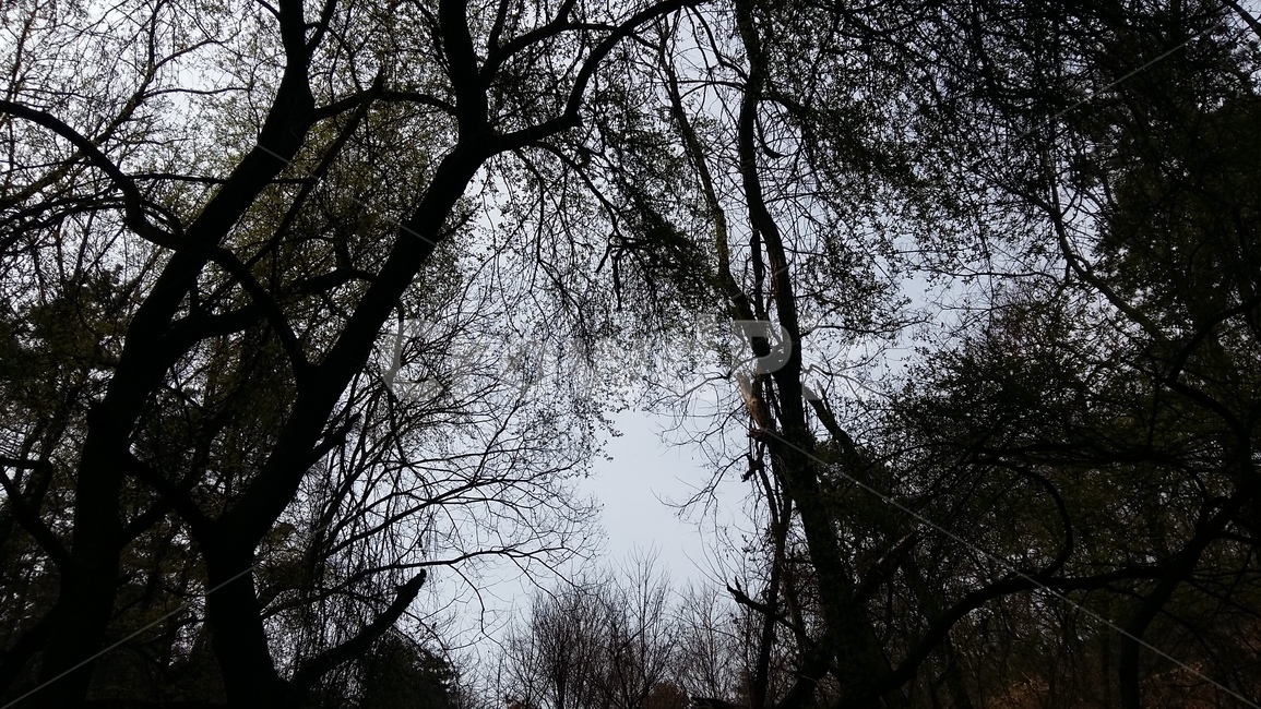 계곡,봄계곡,폭포,계곡물,계곡풍경,자연,풍경,nature,landscape,tree,나무,plant,식물