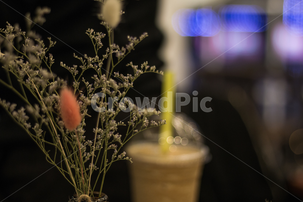 실내,풍경,밤,데코레이션,카페,식물,자연,plants,nature,실내용화초,화분,화초,house plant,인테리어,실내디자인,interior design