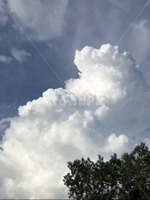 nature,자연,outdoors,옥외,weather,날씨,cloud,구름,cumulus,적운,sky,하늘
