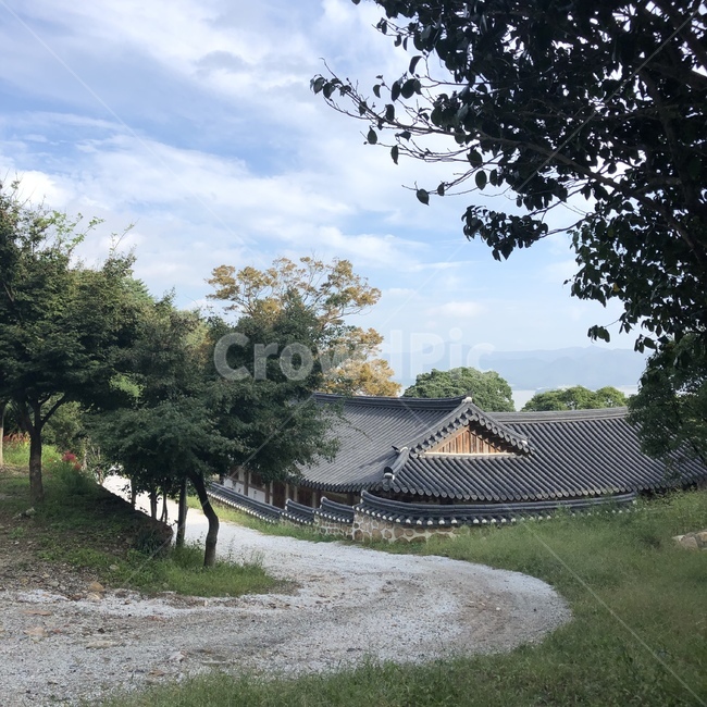 강진,백련사,절,불교,산,등산,풍경,배경