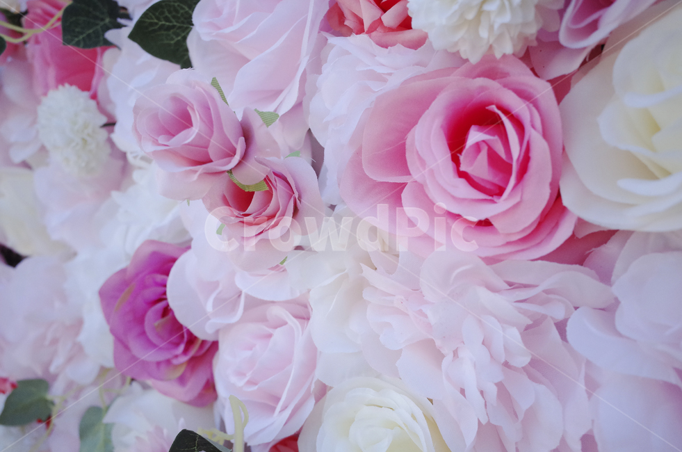 flower,blossom,꽃,pink,white,분홍,조화,인공꽃,가짜꽃,식물,자연,plants,nature,꽃,flower