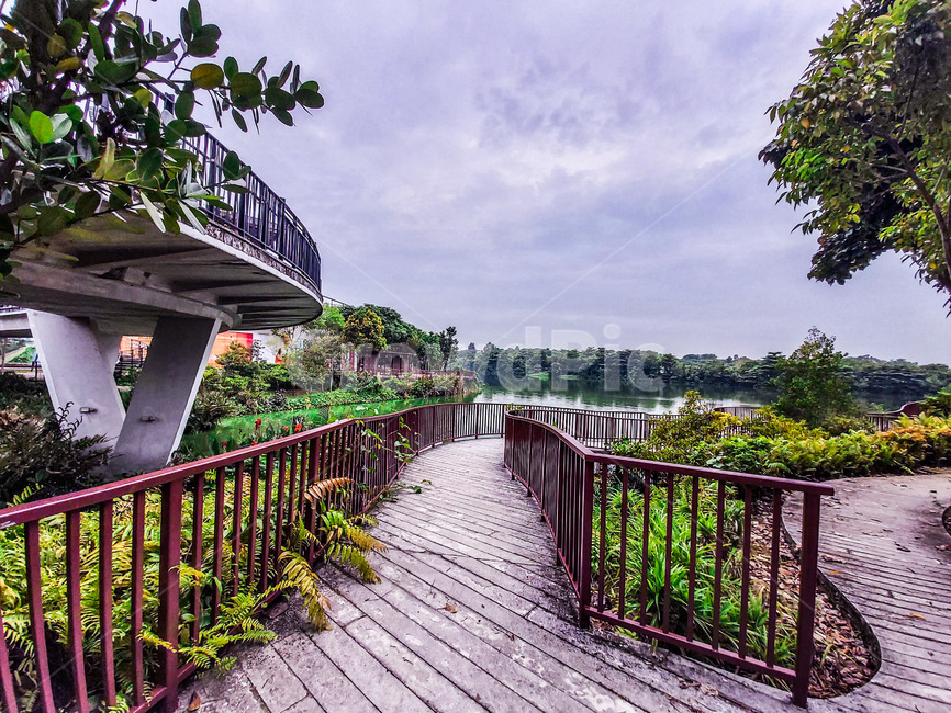 bridge,다리,handrail,난간,boardwalk,산책로,singapore,싱가포르,싱가폴,공원