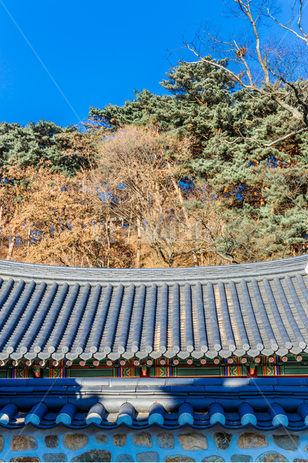 기와,선,패턴,고궁,문화유산,한국전통,한국문화,korean traditional,korean culture,건축물,건물외관,exterior,building,structure,architecture,construction