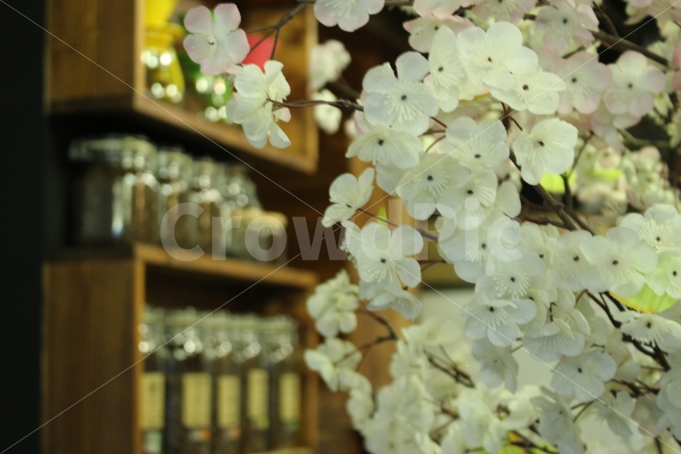 커피,카페,스페셜티,로스터리,인테리어,맛집,coffee,cafe,specialty,roastery,꽃,소품,우드,식물,자연,plants,nature,꽃,flower