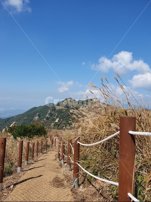 흙길,오솔길,억새밭,산책로,언덕,산정상,언덕길,자연풍경,화왕산,산책길,field,식물,억새,난간,오르막길,갈대,구름,자연,풍경,nature,landscape,handrail,banister
