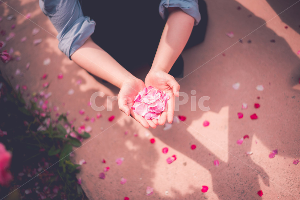 식물,장미,장미꽃,꽃,여름꽃,꽃,flower,사람,인물,인간,human,person,신체일부,몸,body,감성,sensible,feeling