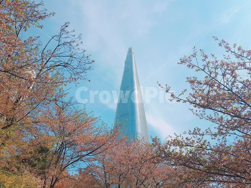 building,건물,steeple,뾰족한탑,건축물,architecture,첨탑,spire,tower,탑,도시,town,urban,어반,city,시티,highrise,풍경,배경화면,롯데월드타워,롯데타워