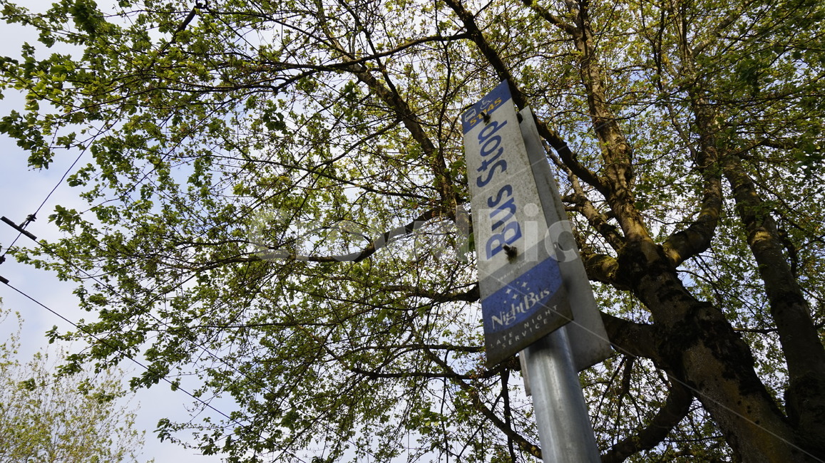 busstop,버스정거장,기다림,버스,대중교통