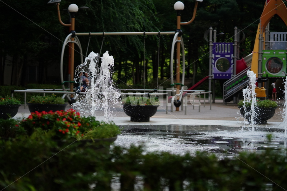물,분수,워터,water,풍경,여름,계절,summer,season