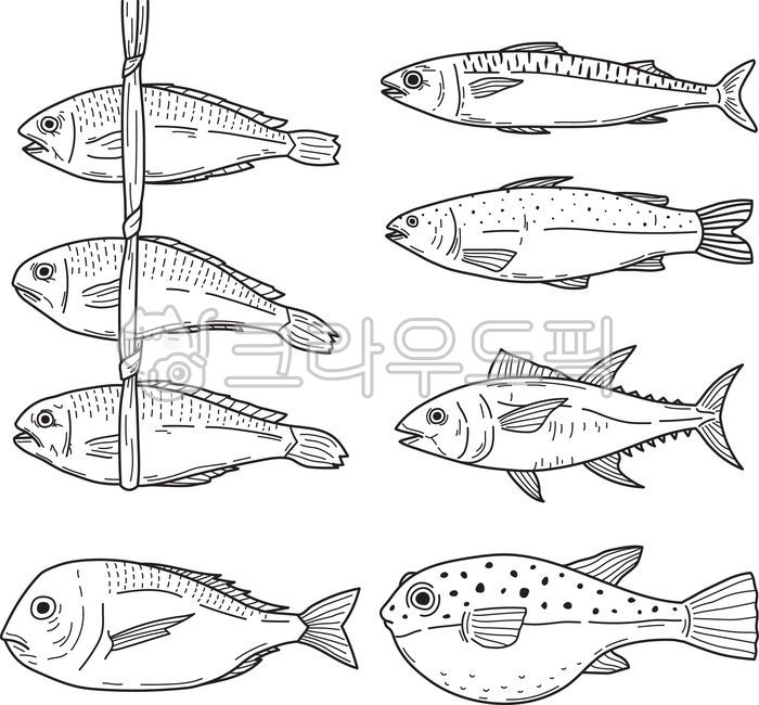 생선일러스트,생선그림,물고기,생선,수산식품,굴비,복어,고등어,연어,참치,참돔,보리굴비