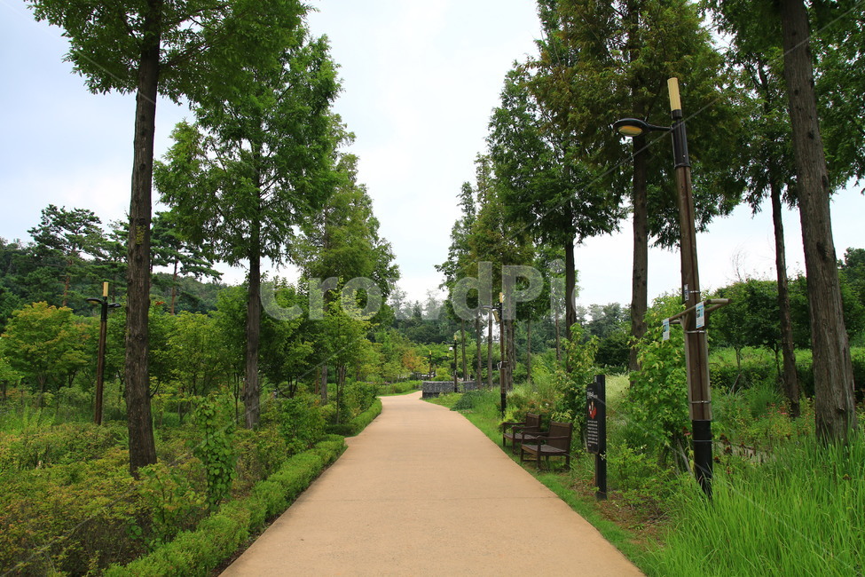 자연풍경,자연,풍경,식물,나무,경기도,수목원,풀,자연,풍경,nature,landscape,outdoors,옥외,garden,정원,arbour,정자