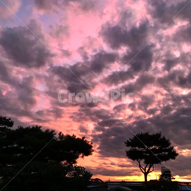분홍하늘,하늘,분홍,구름,배경,자연,풍경,nature,landscape,outdoors,옥외,dawn,새벽,red sky,붉은 하늘,sunset,일몰,sky,dusk,황혼