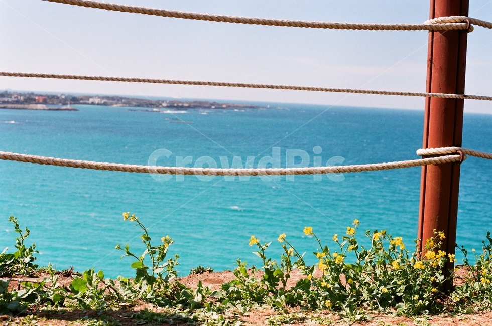 제주,제주도,제주풍경,제주바다,에메랄드빛,필름사진,filmphotography,봄,유채꽃,올레길,길가,함덕,서우봉,봄꽃,봄풍경,spring,flowers,hamdeok,seoubong