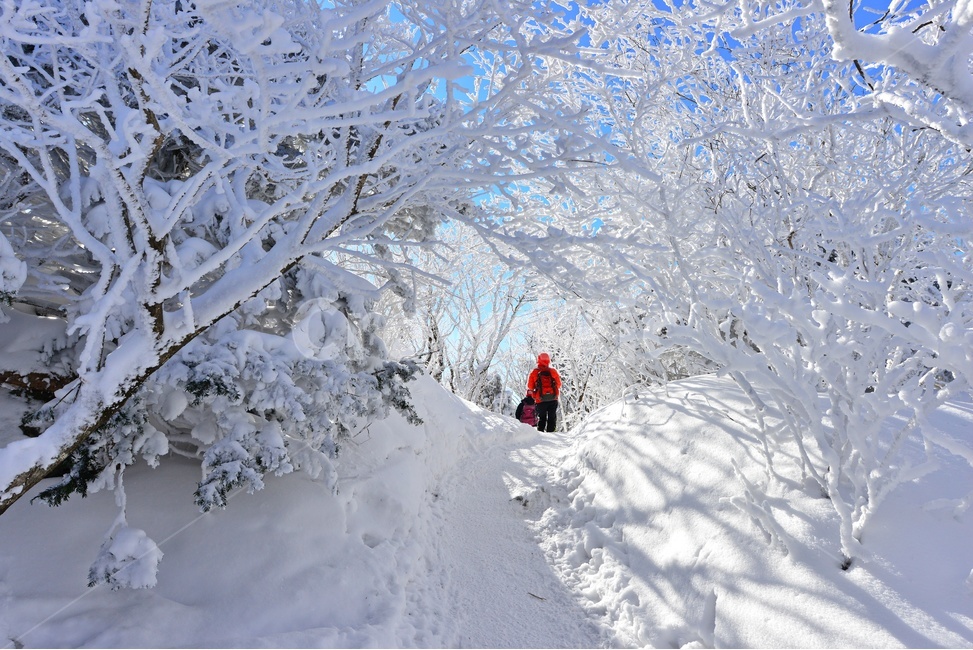 person,사람,human,인간,mountain,산,nature,자연,outdoors,옥외,landscape,경치,scenery,풍경,mountainrange,산맥,snow,눈,덕유산,설천봉,향적봉,중봉,상고대,덕유산설경,겨울,계절,설경,겨울,계절,winter,season,자연,풍경,nature,landscape,한국자연풍경,한국자연경관,korea nature landscape
