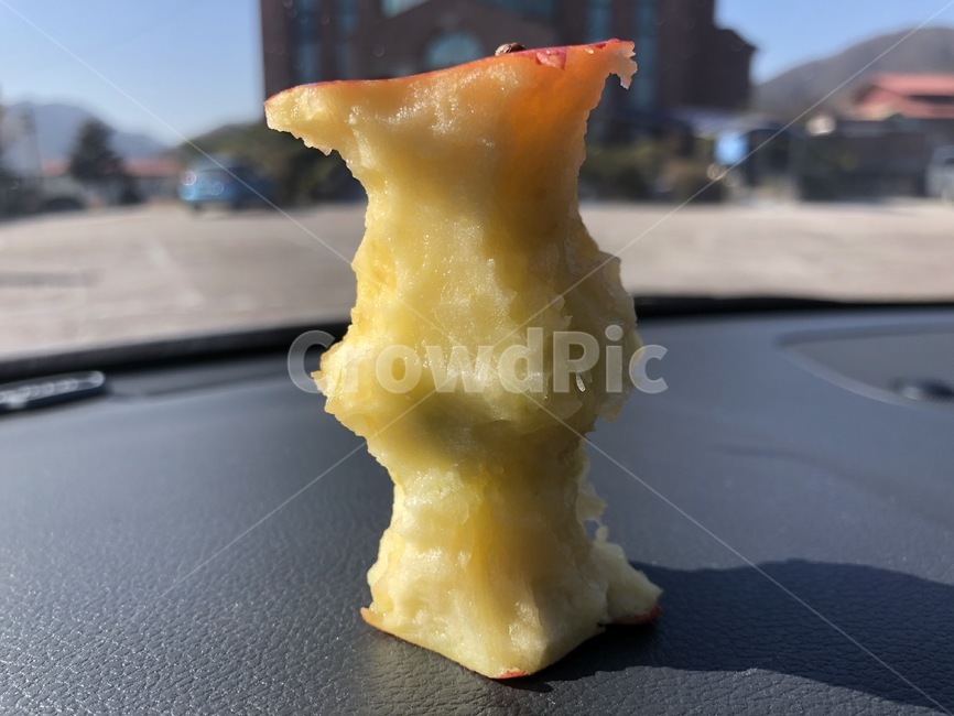 사과,애플,먹은사과,열매,apple