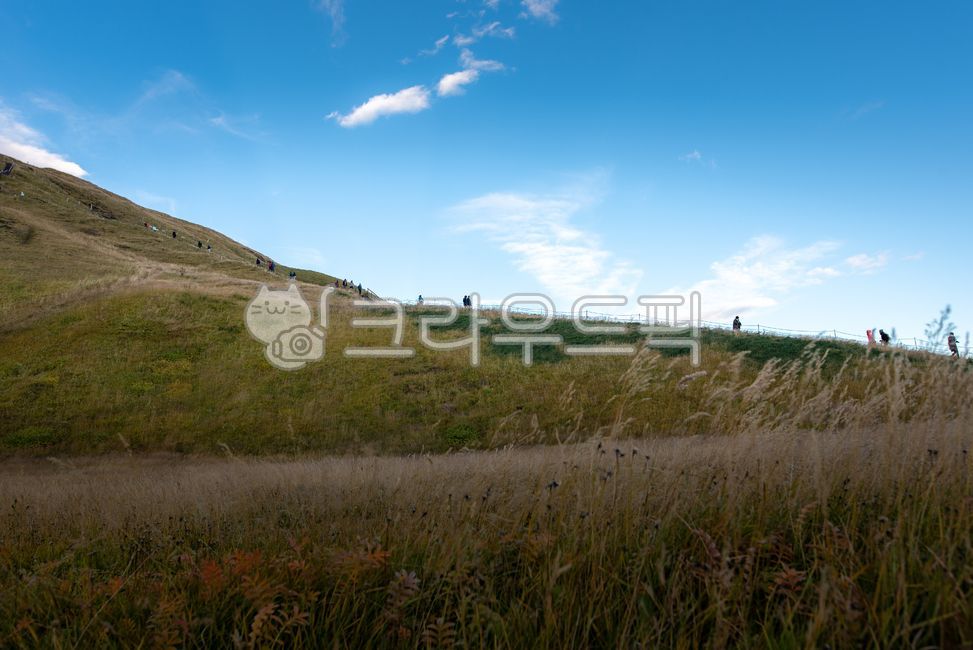 northeurope,nature,overea,iceland,Overseas,Iceland,grassland,fall,field,outdoors,sight,North Europe,autumn,rassland,europe,landscape