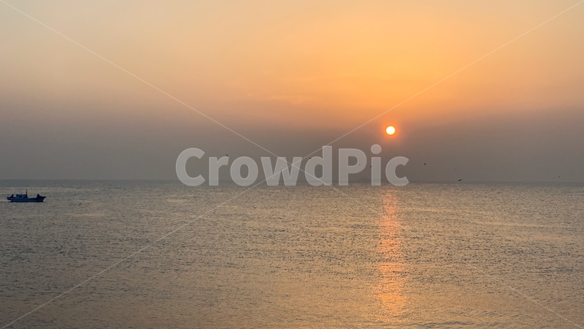 일출,해돋이,sunrise,태양,sun,새벽,dawn,수평선,horizontalline,sealine,바다,잔잔한바다,바닷가,sea,하늘,sky,갈매기,seagull,mew,gull,seamew,배,고기잡이배,ship,boat,자연,풍경,nature,landscape,outdoors,옥외