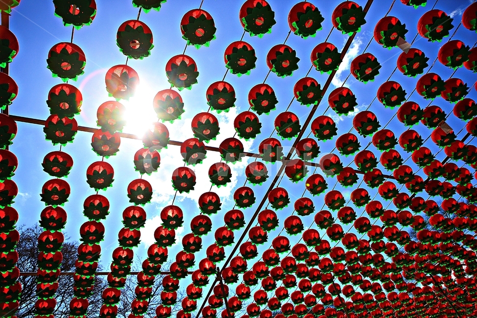 연등,등,소원,풍경,배경,자연,종교,신앙,religion,belief,faith,축제,행사,festival,carnival,event