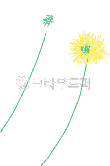 Dandelion,seeds,dandelion seeds,flower,plant,nature,flower,fleurs