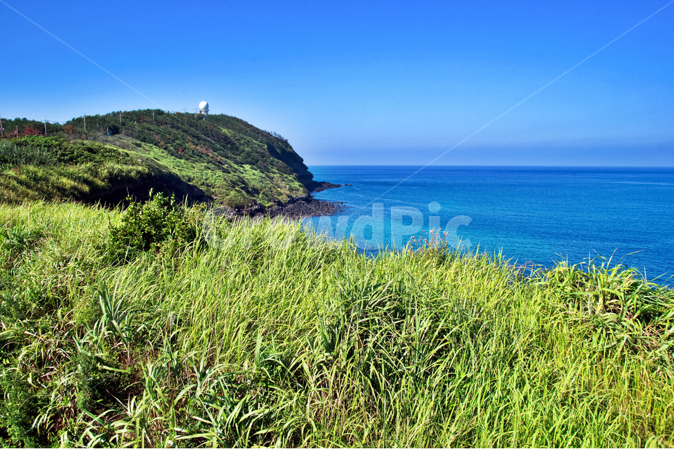 수월봉,올레12코스,제주도,서귀포시,바다,수풀,봉우리,수월봉전망대,제주도,jeju,jeju island,nature,자연,outdoors,옥외,land,땅,water,물,shoreline,해안선,sea,ocean,대양,promontory,곶