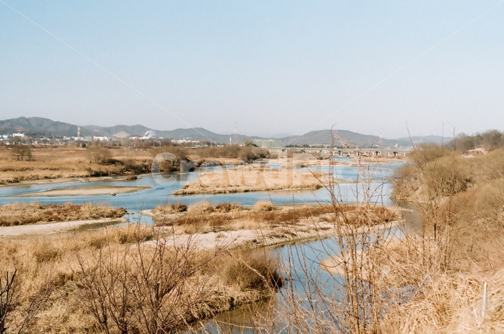 겨울,자연,감성,필카,풍경,겨울사진,겨울풍경,필름카메라,겨울,계절,winter,season,자연,풍경,nature,landscape,한국자연풍경,한국자연경관,korea nature landscape,감성,sensible,feeling,land,땅,outdoors,옥외,water,물