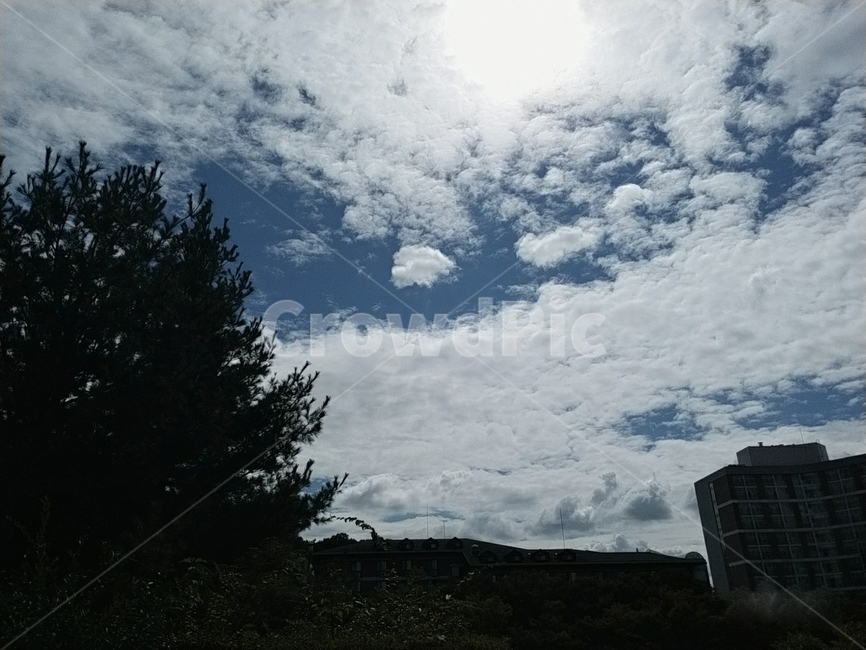 outdoors,옥외,nature,weather,날씨,나무,tree,하늘,sky,구름,여름,파란색,파랑,초록,건물,야외,자연,자연,풍경,nature,landscape