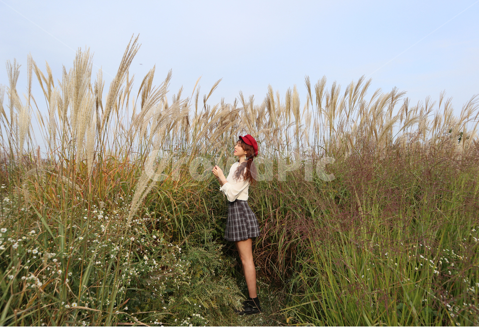 하늘공원,갈대,억새,가을,풍경,하늘,가을하늘,전신,가을,계절,fall,autumn,season,사람,인물,인간,human,person,여성,여자,woman,female,lady,grass,잔디,plant,식물,lawn