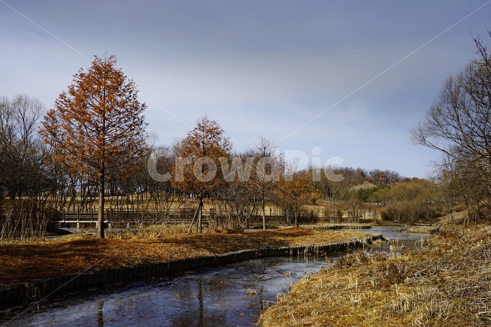 겨울,얼음,풀,추위,계절,연못,나무,반영,하늘,가지,winter,park,season,cold,감성,trees,woods,branch,leafless,가을,계절,fall,autumn,season,자연,풍경,nature,landscape,ditch,도랑