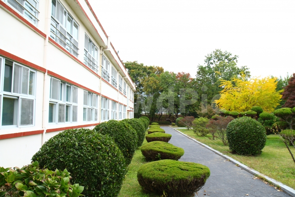 학교,건축,자연,풍경,가을,계절,나무,정원,건물,중학교,외관,structure,architecture,nature,tree,school,education,fall,autumn,교육,공부,learning,학습,교실,창문,은행나무,단풍,추억,한국,학생,건축물,건물외관,exterior,building,structure,architecture,construction,교육,학교,공부,education,learning,study,school