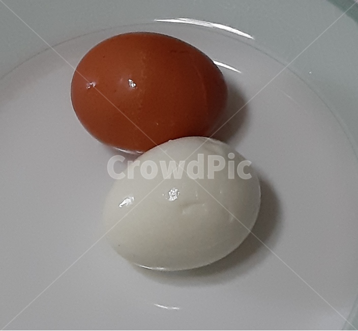 egg,계란,food,삶은계란,boiledegg