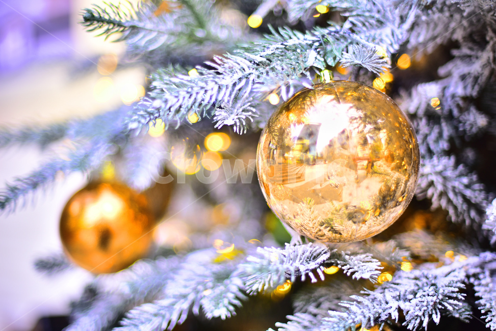 크리스마스,크리스마스트리,츄리,성탄절,xmas,tree,나무,plant,식물,christmas,년말장식,장식물,데코레이션,decoration,성탄볼,ball,크리스마스볼,christmasball,background,백그라운드,배경,바탕,분위기,성탄분위기,성탄배경,계절,시즌,season,금색,은색,동색,silver,golden,황금색,메리크리스마스,성탄절,merry christmas