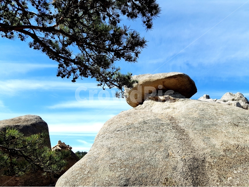 용봉산,나무,해,풍경,산,바위,자연,풍경,nature,landscape,outdoors,옥외